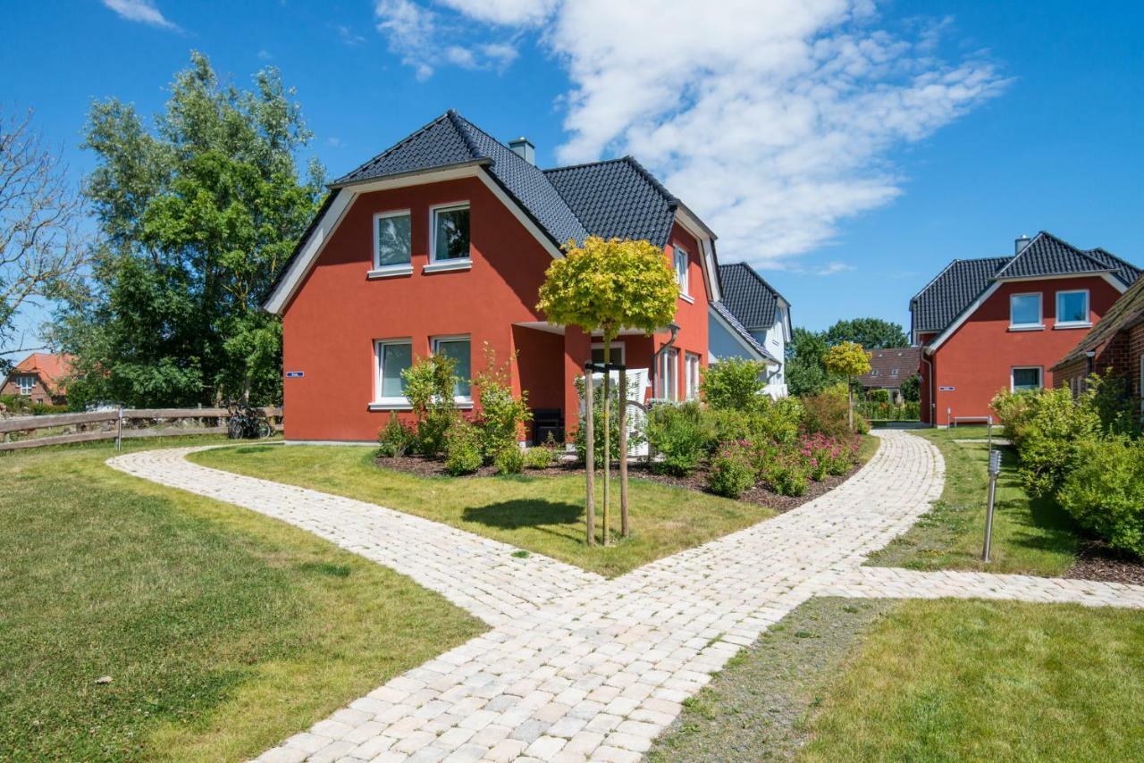 Fehmarn Mein Urlaub Стая снимка